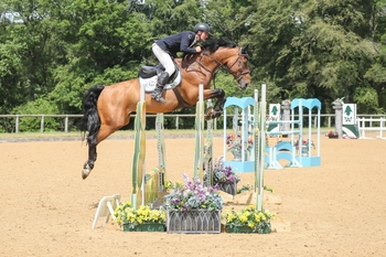 Ryan O’Sullivan races to a win in the Events Through A Lens Talent Seeker incorporating the 7-year-old Championship Qualifier at Wellington Riding Centre